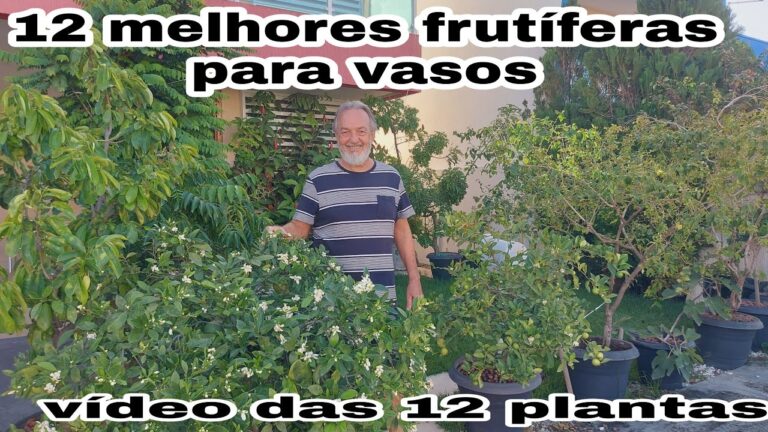 &Aacute;rvores Resistentes: Solu&ccedil;&otilde;es Sustent&aacute;veis para Ambientes Desafiadores