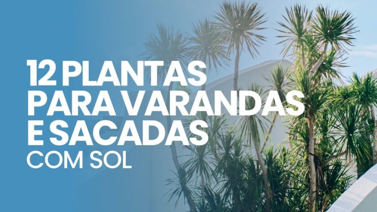 Plantas Resistentes ao Sol para Varandas: Guia Prático