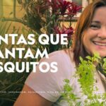 Estratégias Eficazes para Afastar Moscas no Jardim