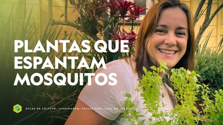 Estratégias Eficazes para Afastar Moscas no Jardim