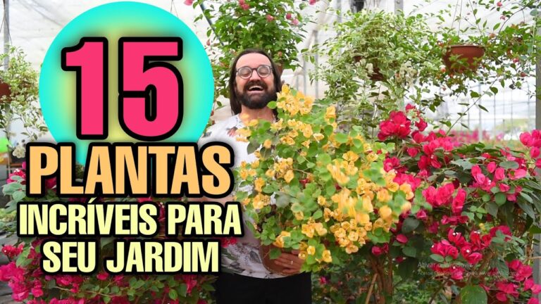 &Aacute;rvores Perenes Ideais para Jardins