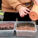 Pedra Vulcânica: A Solução Ideal para Jardins