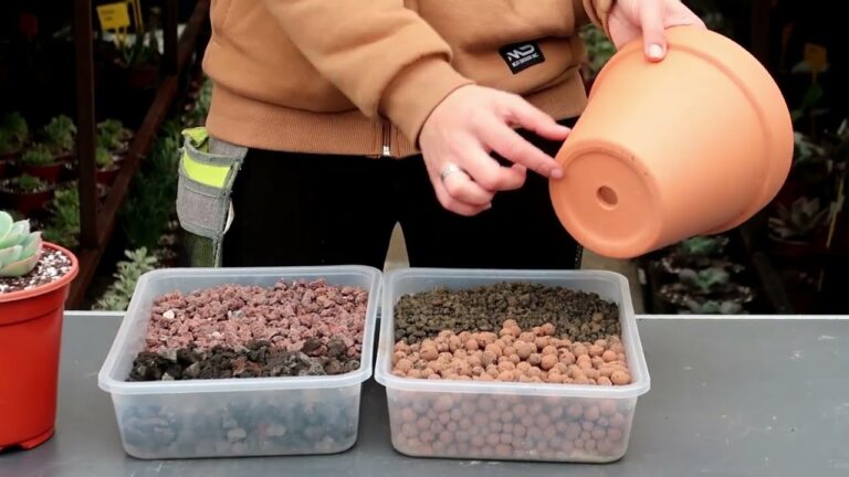 Pedra Vulcânica: A Solução Ideal para Jardins