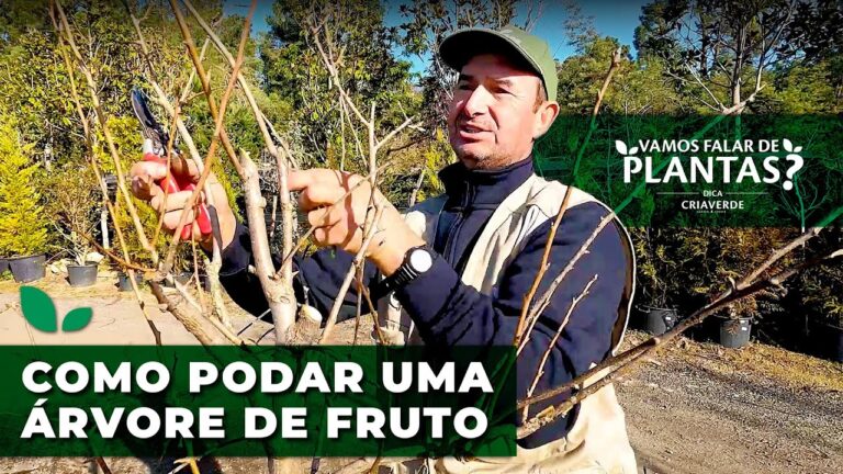 Guia Prático para Podar Árvores de Fruto