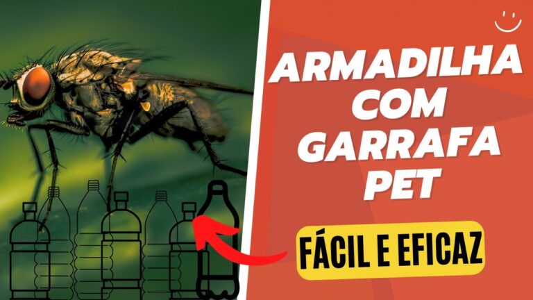 Armadilhas Eficazes para Moscas e Mosquitos