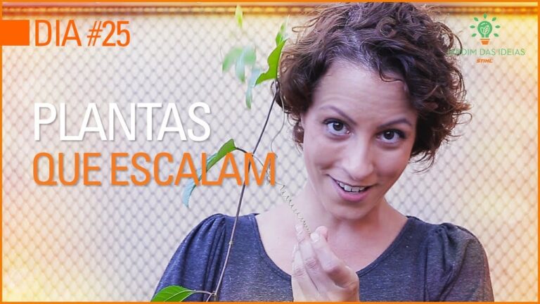 Plantas Trepadoras de Crescimento Rápido para Muros