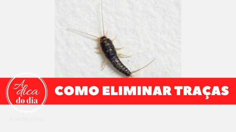 M&eacute;todos Eficazes para Exterminar Tra&ccedil;as