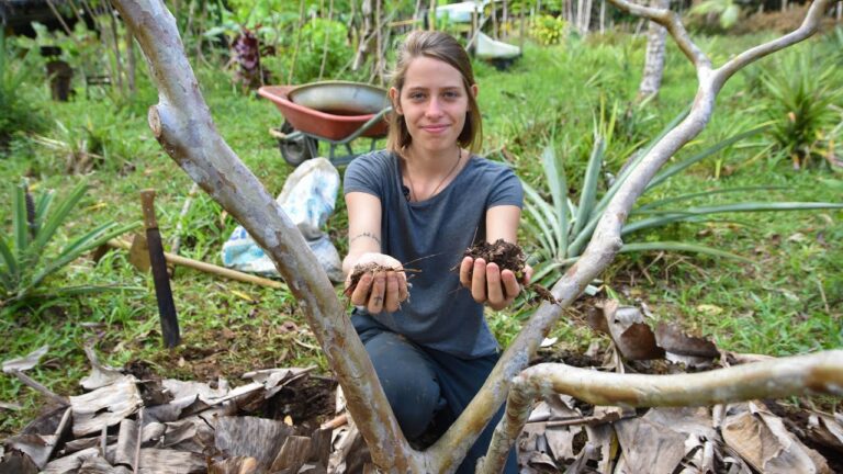 Melhores Práticas de Adubo para Árvores de Fruto
