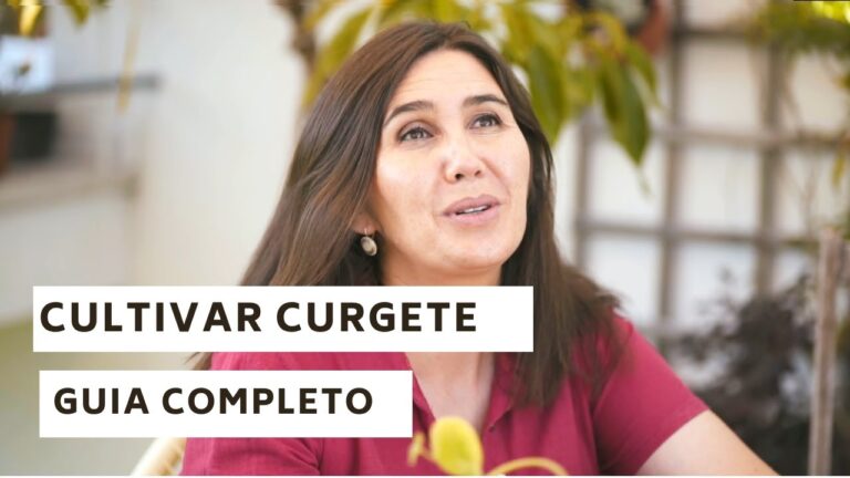 Benefícios e Cuidados com a Curgete Planta