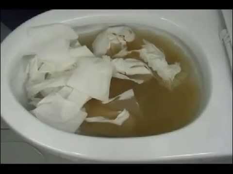Detergente Eficaz para Desentupir Sanitas