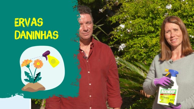 Herbicida Eficiente para Relva: Soluções e Dicas