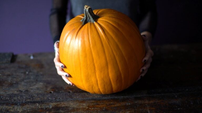 Ideias Criativas para Decorar Ab&oacute;boras no Halloween