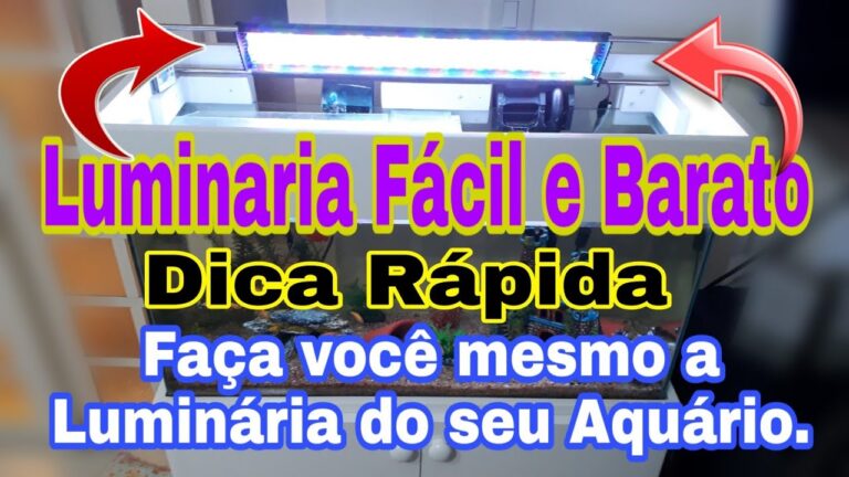 Guia Pr&aacute;tico: Ilumina&ccedil;&atilde;o Ideal para Aqu&aacute;rios