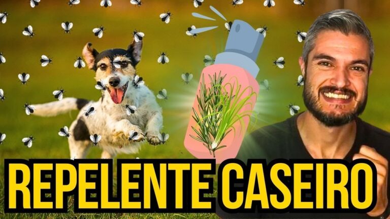 Receitas Eficazes de Repelente Caseiro para Cães
