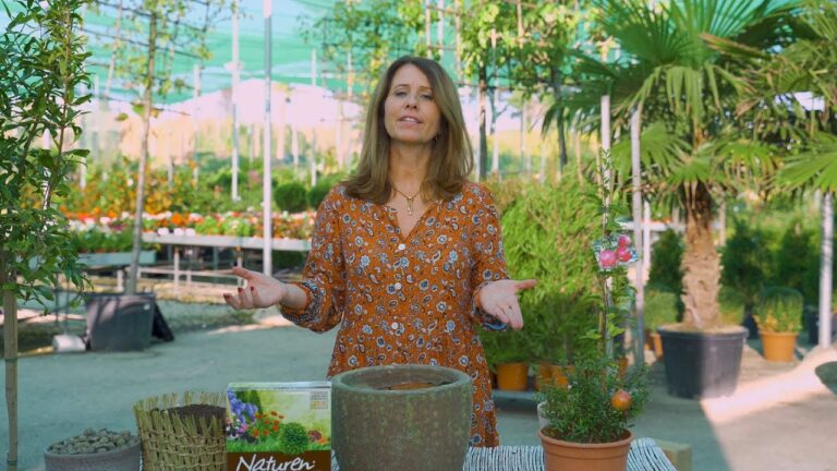 A Magia da Romanzeira: Beleza e Cultivo da Árvore Romântica