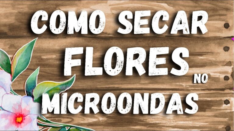 M&eacute;todos Eficazes para Secar Flores R&aacute;pido
