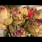 Como Secar Flores Usando Laca de Forma Eficiente