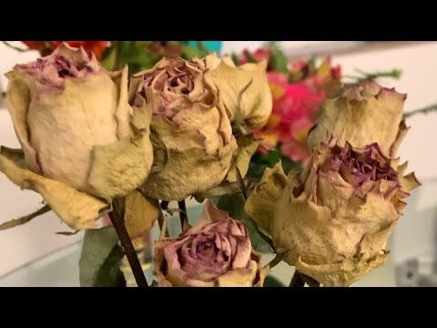 Como Secar Flores Usando Laca de Forma Eficiente