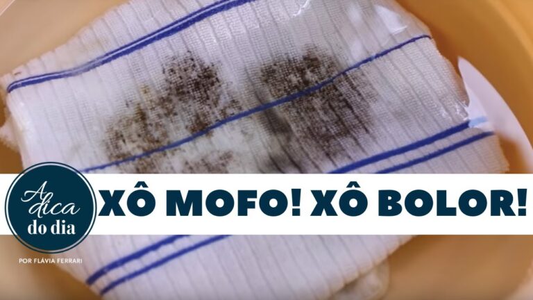 Dicas Eficazes para Remover Manchas de Humidade da Roupa