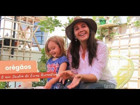 Benefícios e Cuidados com a Planta de Orégano