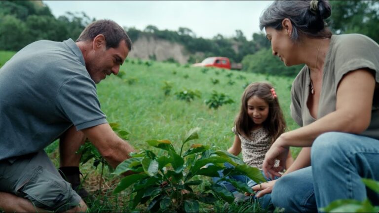 Cultivo de Caf&eacute; em Portugal: Oportunidades e Desafios
