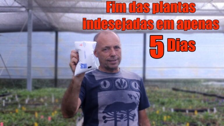 Melhor Herbicida para Controle de Silvas