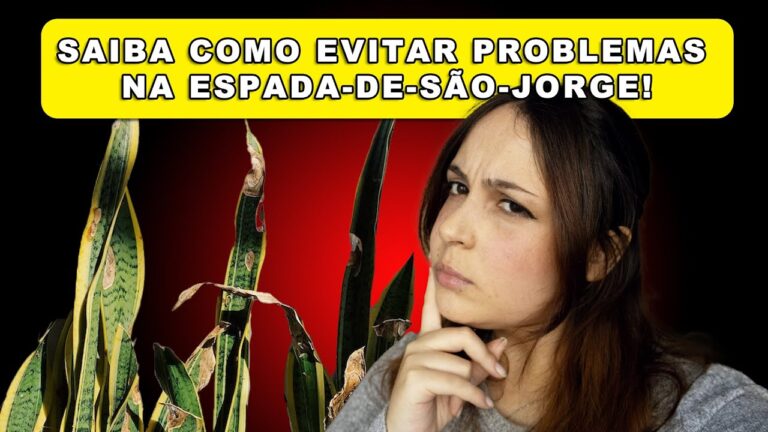 Cuidados Essenciais com a Espada de S&atilde;o Jorge