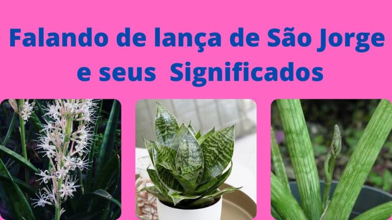 Significado da Lança de São Jorge
