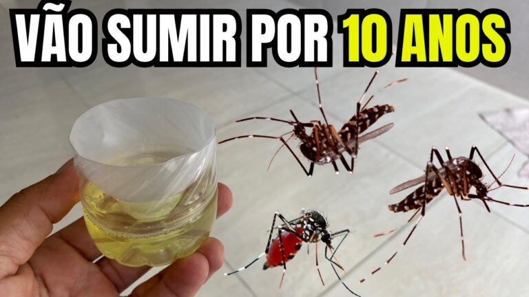 Como Eliminar Mosquitos em Casa de Forma Eficiente