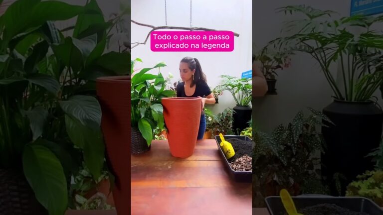 Causas e Solu&ccedil;&otilde;es para Folhas Amarelas no Lirio da Paz