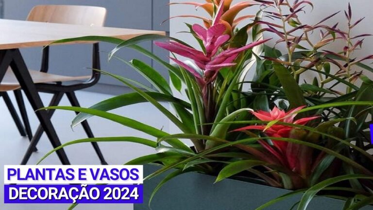 Vasos Decorativos Ideais para Plantas de Interior