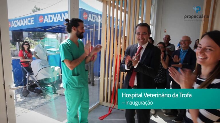 Hospital Veterinário Trofa: Cuidado e Bem-Estar Animal