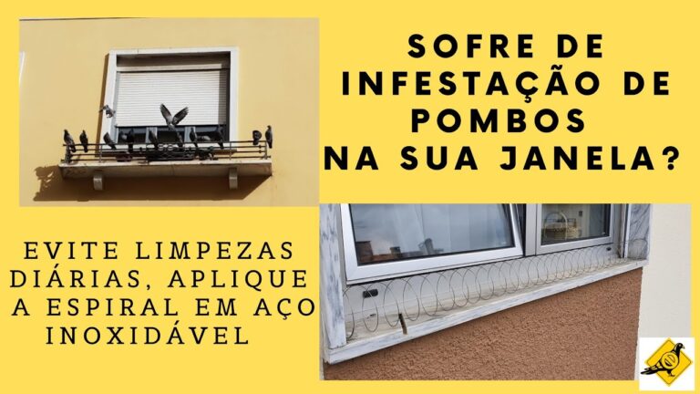 Estratégias Eficazes para Afastar Gaivotas da Varanda