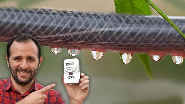 Guia Prático para Rega Automática de Plantas