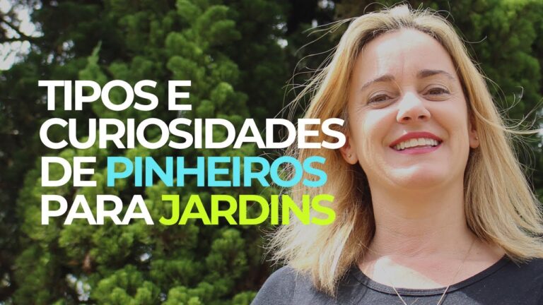 Tipos de Cipreste: Guia Completo para Escolha e Cultivo