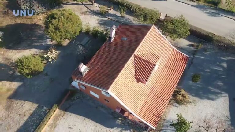 Inovação e Crescimento da Sonho Singular Unipessoal Lda