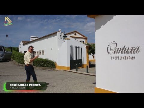 Descubra as Melhores Adegas de Évora