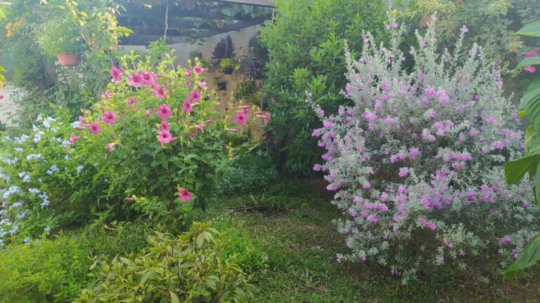 Beleza das Plantas Arbustivas com Flores