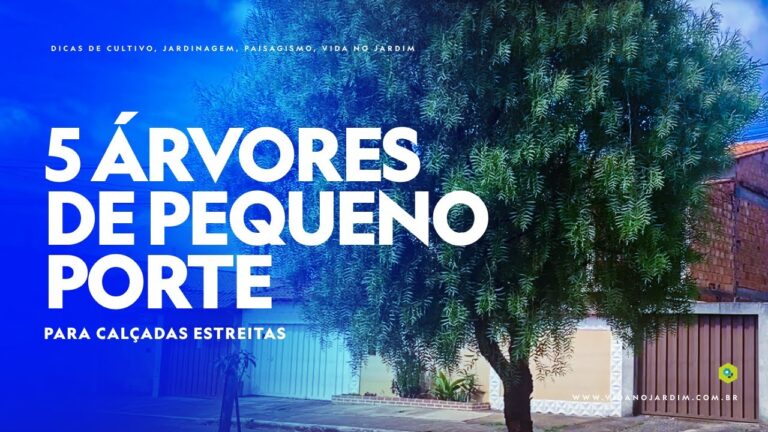 Melhores Nomes de Árvores Ornamentais para Jardins