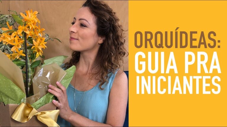Dicas Essenciais para Tratar Orquídeas com Sucesso