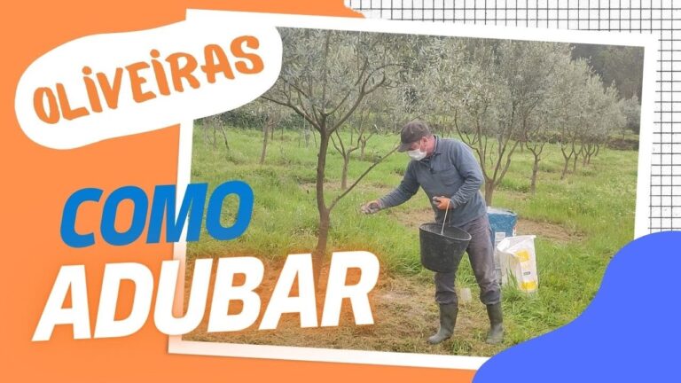Adubar Oliveira: Inovações e Sustentabilidade na Agricultura