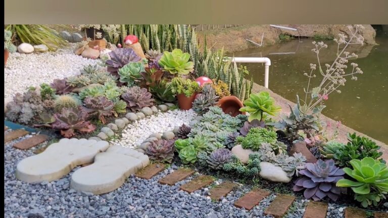 Transforme seu Espaço com um Jardim de Suculentas no Chão