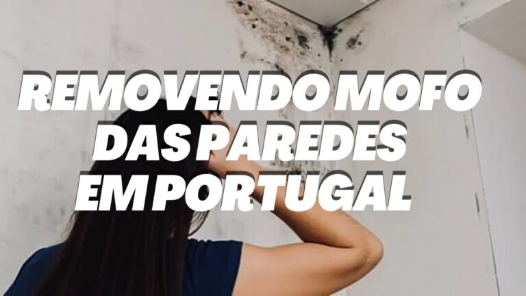 Como Remover Bolor de Forma Eficiente