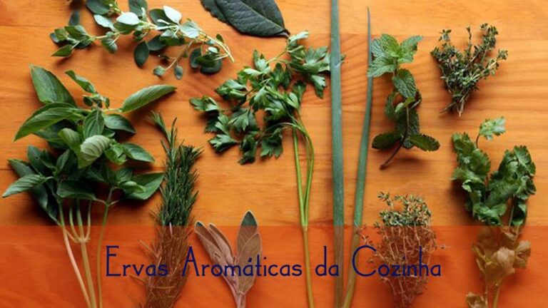 Guia Completo de Nomes de Ervas Aromáticas
