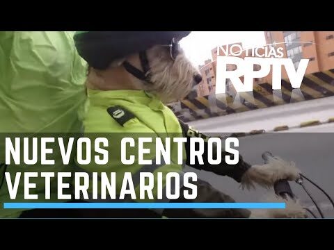 Cuidados e Serviços da Clínica Veterinária do Picoto