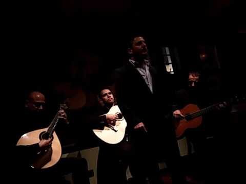 Descubra a Adega Machado em Lisboa: Tradi&ccedil;&atilde;o e Sabor