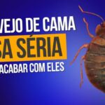Métodos Eficazes para Exterminar Percevejos de Cama