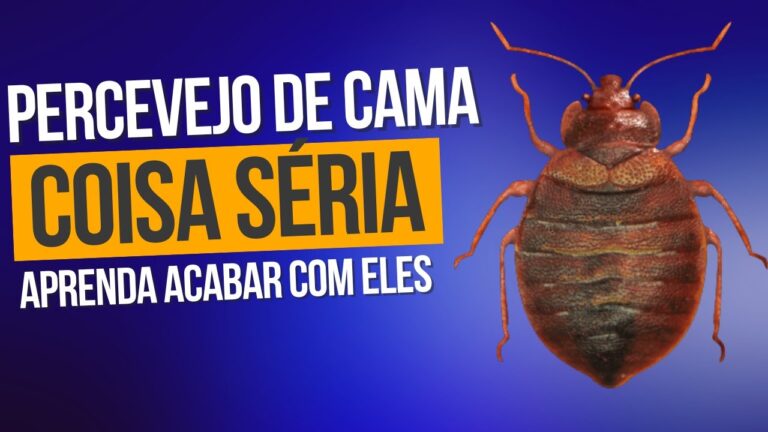 Métodos Eficazes para Exterminar Percevejos de Cama